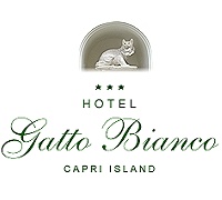 Hotel Gatto Bianco